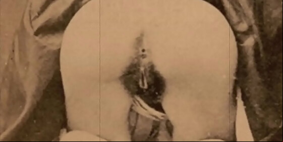 dark lantern entertainment presents two centuries of vintage porn
