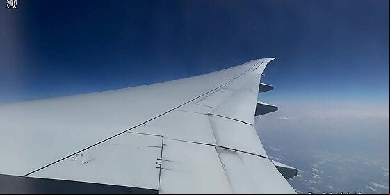 mile high club almost caught in an airplane